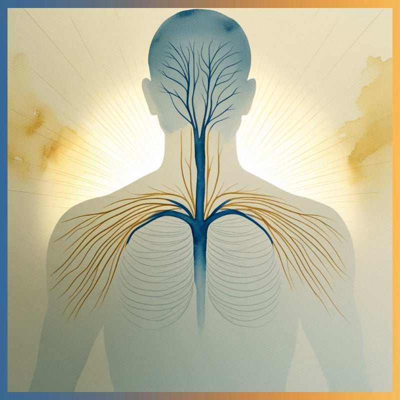 Understanding the lymphatic system
